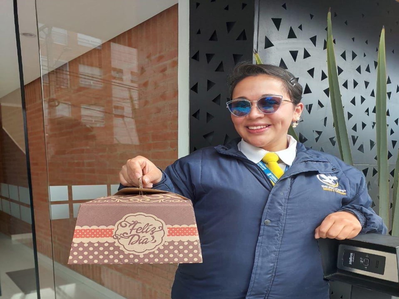 Vigilancia Profesional